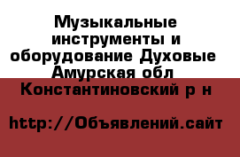 Музыкальные инструменты и оборудование Духовые. Амурская обл.,Константиновский р-н